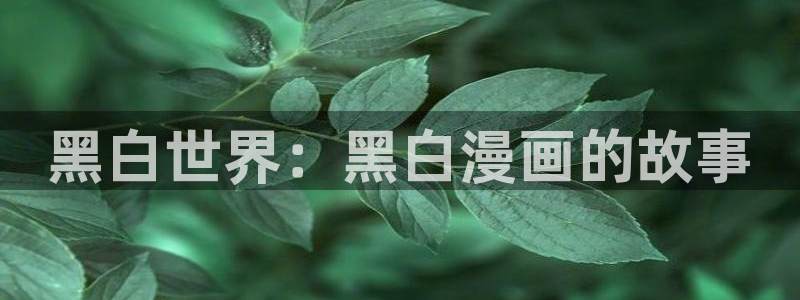 漫溢之血51漫画画完整版免费阅读：黑白世界：黑白漫画的故事