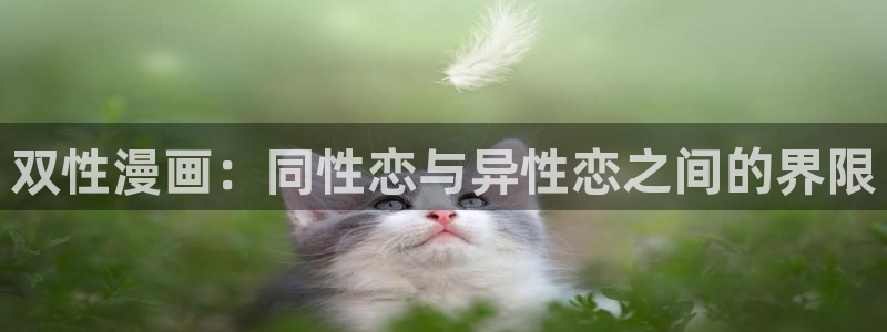 好看的51漫画在线免费看：双性漫画：同性恋与异性恋之间的界限