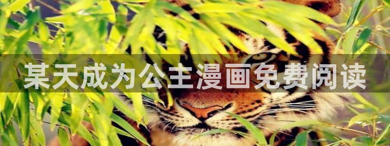 漫画台51漫画大全