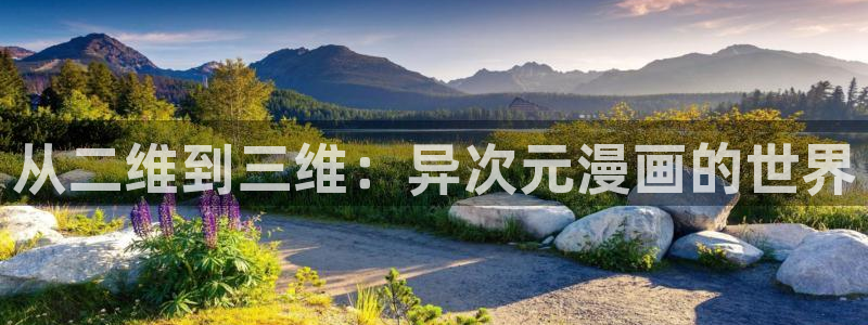 51漫画入口免费在线观看：从二维到三维：异次元漫画的世界