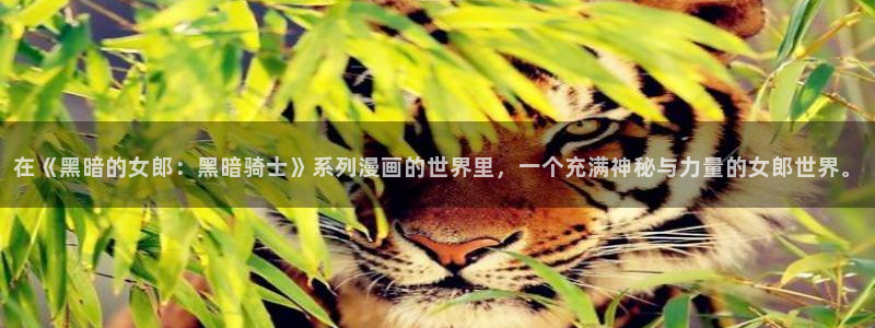 51漫画画韩国：在《黑暗的女郎：黑暗骑士》系列漫画的世界里，一个充满神秘与力量的女郎世界。