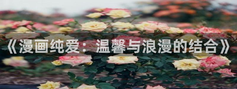 日51漫画漫画免费阅读看漫画下拉：《漫画纯爱：温馨与浪漫的结合》