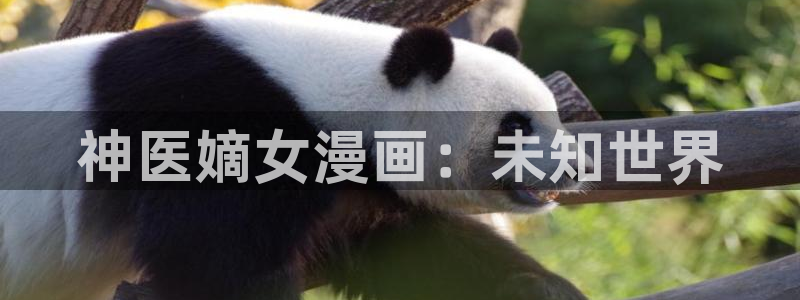 51漫画无删减版第一漫画在线