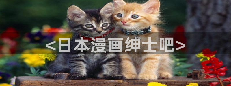可以看51漫画的