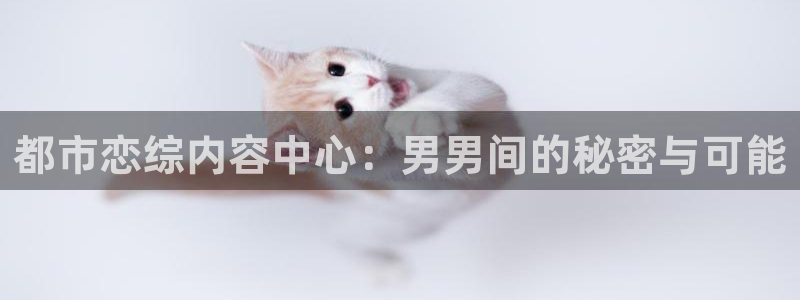 51漫画 在线看：都市恋综内容中心：男男间的秘密与可能