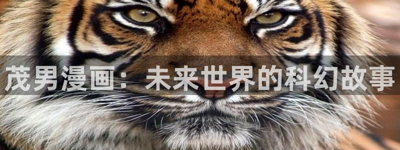 日51漫画画免费阅读下拉：茂男漫画：未来世界的科幻故事