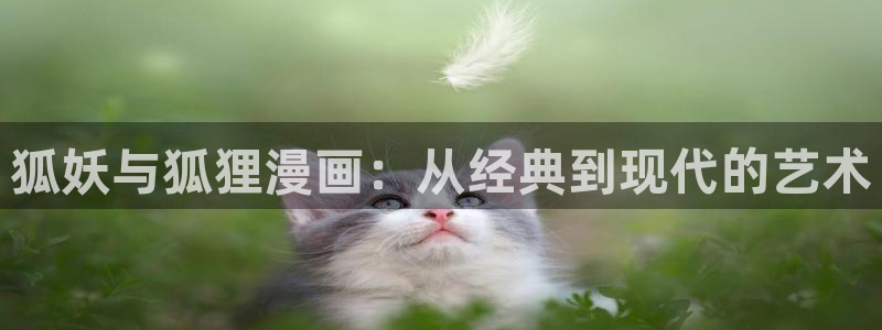 暴夜漫画51漫画第二季：狐妖与狐狸漫画：从经典到现代的艺术