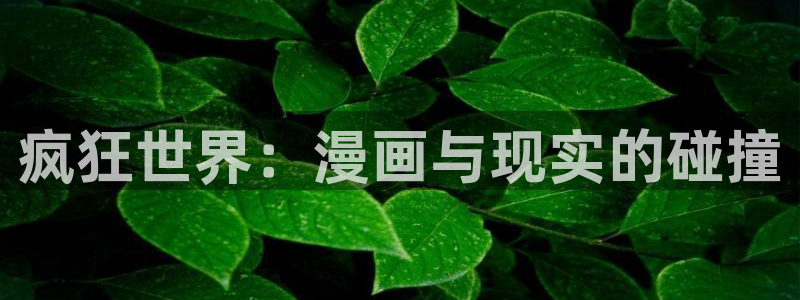 51漫画画在线阅读免费下拉