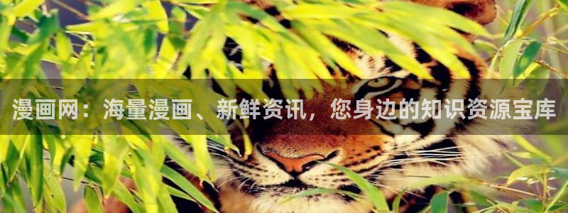 看未删减51漫画