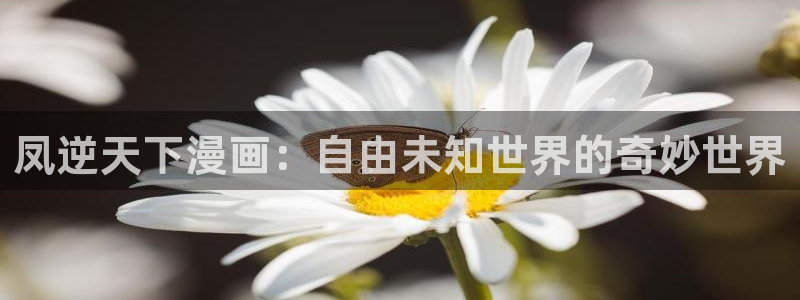 歪歪漫画51漫画免费阅读：凤逆天下漫画：自由未知世界的奇妙世界