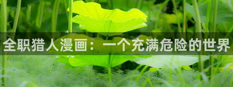 双男主51漫画网站入口：全职猎人漫画：一个充满危险的世界