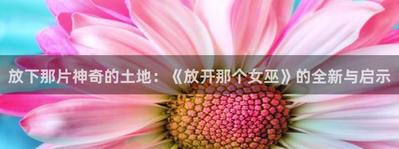 51漫画入口免费观看：放下那片神奇的土地：《放开那个女巫》的全新与启示