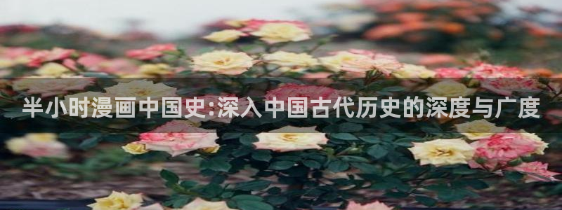 51漫画在线免费观看网址：半小时漫画中国史:深入中国古代历史的深度与广度