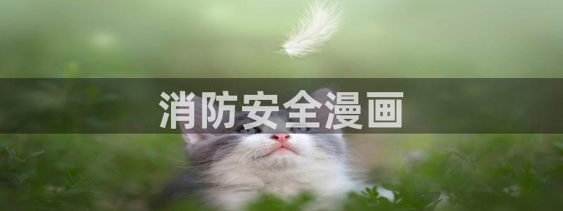 在线观看免费漫画51漫画：消防安全漫画